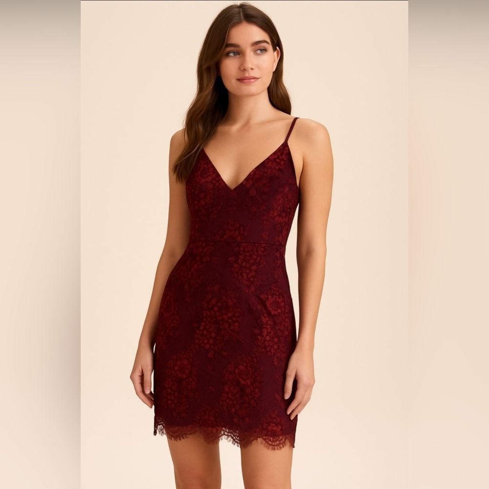 Minuet Elegant Burgundy Lace Bodycon Dress. Size-Small
